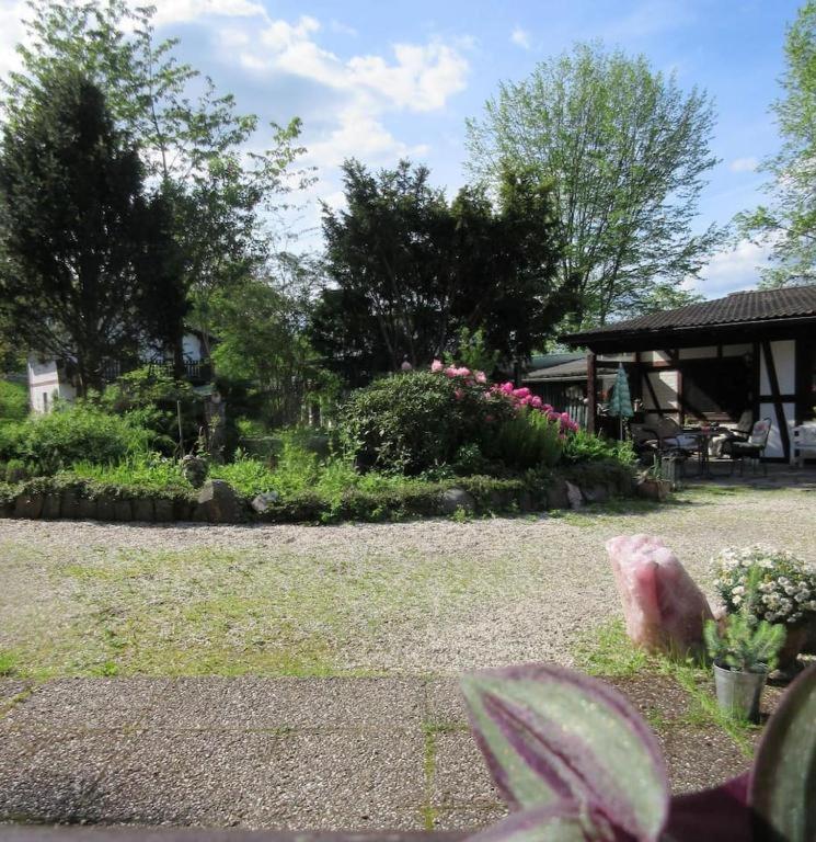 Doppelzimmer / Landhaus Ederlust Heilungsraeume E.V. Hatzfeld Exterior photo